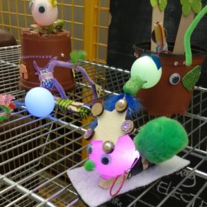 Junior Dromers & Makers Club - najaar 2017