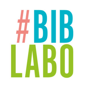 Biblabo 11/09: stempels maken - Bissegem